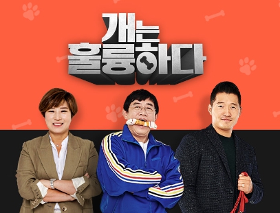 사진=KBS2 TV 예능 프로그램 '개는 훌륭하다' 홍보 포스터/KBS 2TV '개는 훌륭하다'